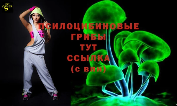 спайс Каменка
