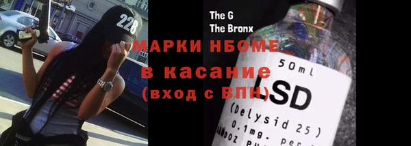 спайс Каменка