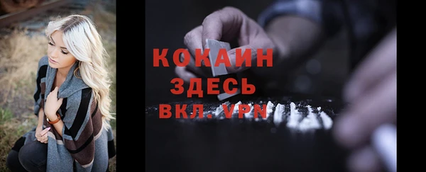 спайс Каменка