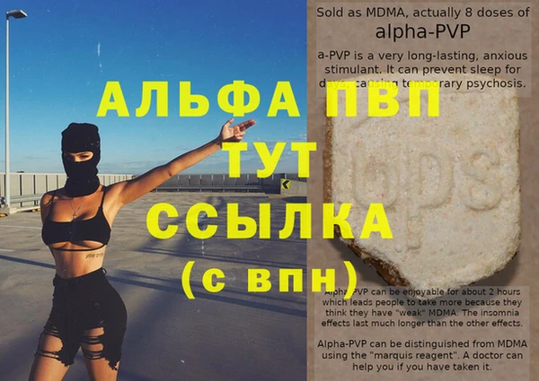 спайс Каменка