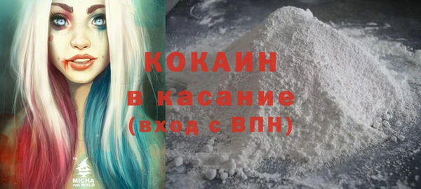 спайс Каменка