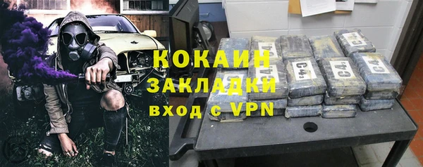 спайс Каменка