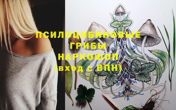 синтетический гашиш Каменск-Шахтинский