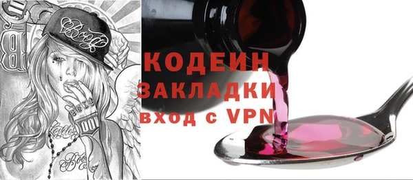 спайс Каменка