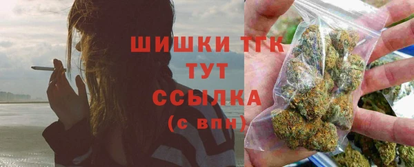 спайс Каменка